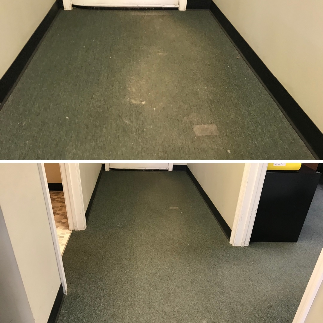 Professional carpet cleaning service in Massachusetts - steam cleaning and stain removal