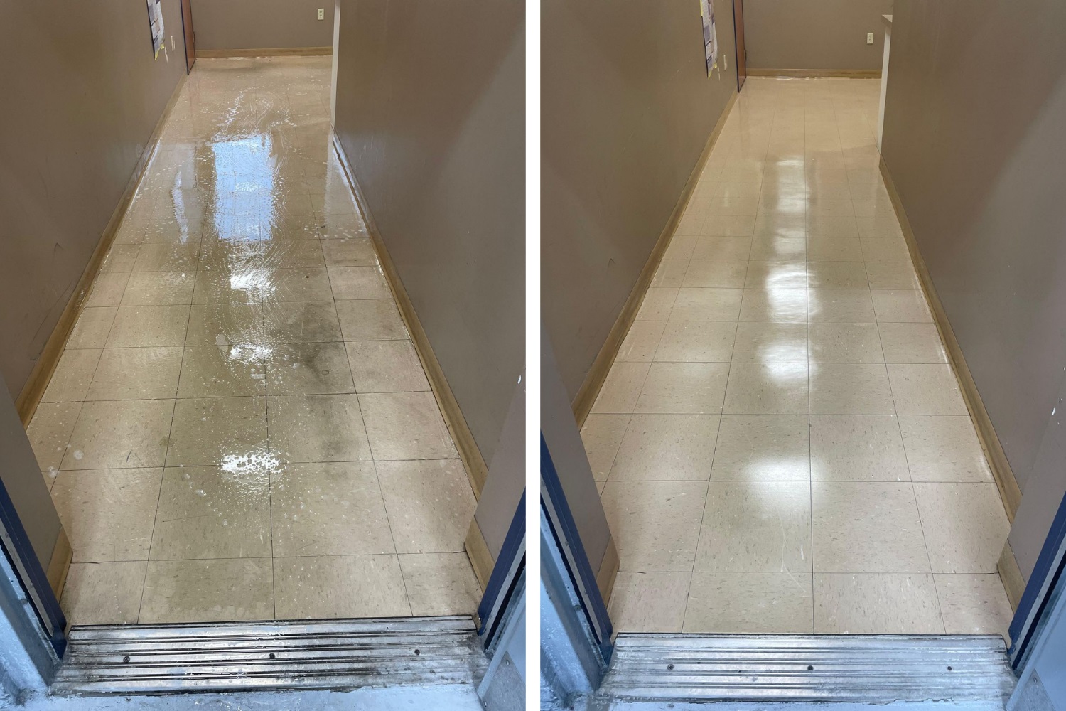 Deep cleaning service in Massachusetts - thorough residential and commercial cleaning